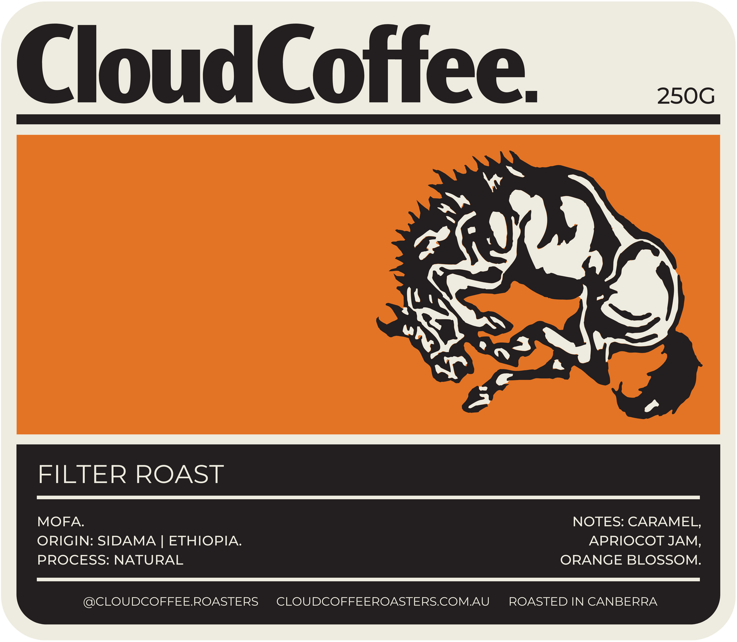 FILTER - ETHIOPIA, MOFA.