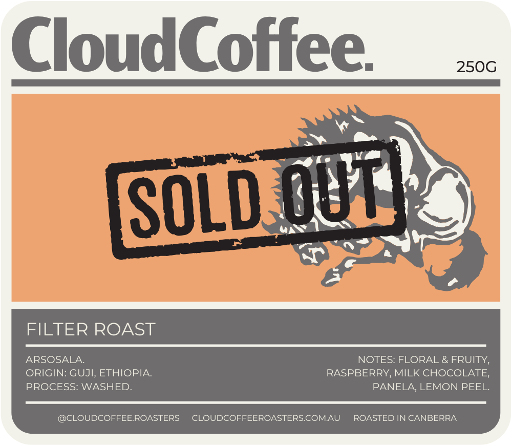 FILTER - ETHIOPIA, ARSOSALA