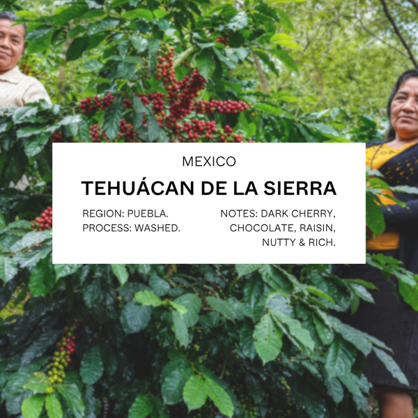 FILTER - MEXICO, TEHUÁCAN DE LA SIERRA