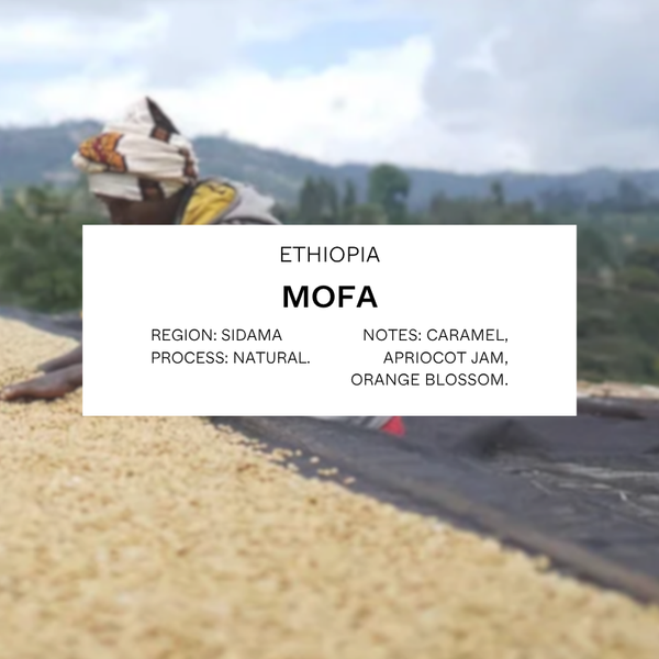 FILTER - ETHIOPIA, MOFA.