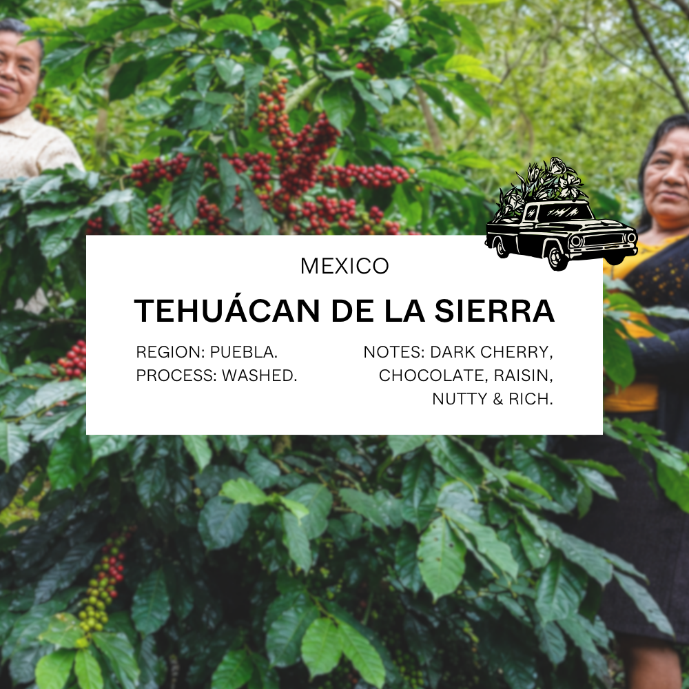 FILTER - MEXICO, TEHUÁCAN DE LA SIERRA