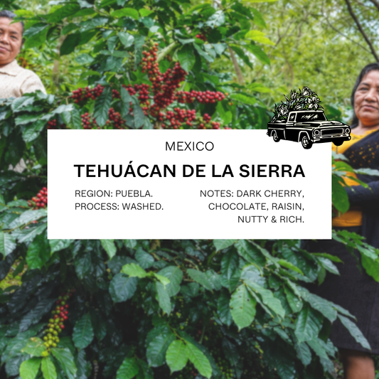 FILTER - MEXICO, TEHUÁCAN DE LA SIERRA