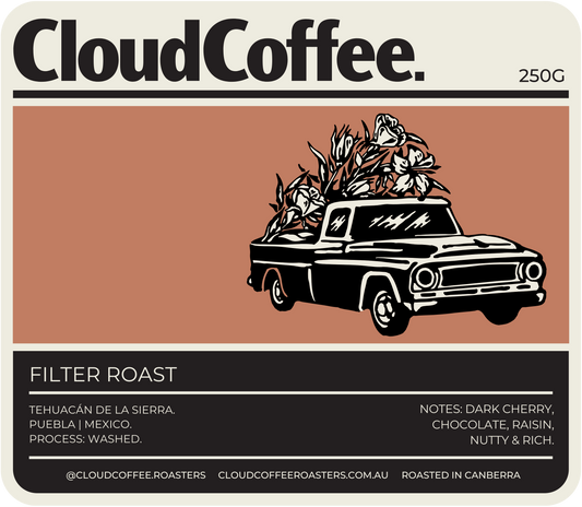 FILTER - MEXICO, TEHUÁCAN DE LA SIERRA