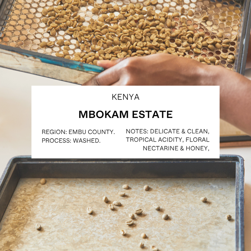 FILTER - KENYA, MBOKAM ESTATE